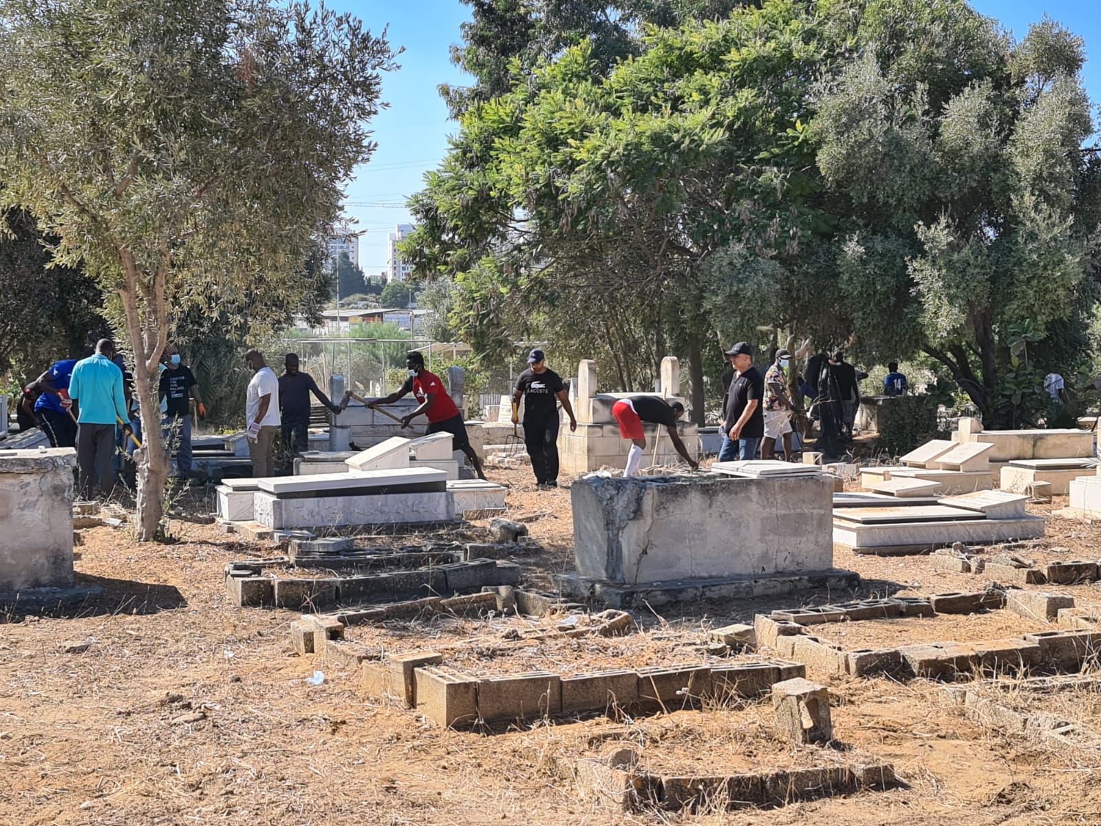 WhatsApp Image 2020-10-17 at 7.33.54 PM.jpeg.jpeg